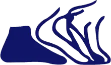 Austintown Podiatry Associates Inc logo