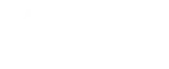 Boston Foot and Ankle Biologics logo