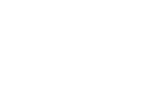 Podiatry Associates of Indiana - Foot and Ankle Institute logo