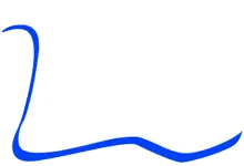 Vittori Foot & Ankle Specialist logo